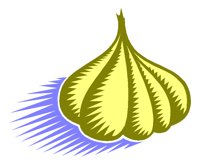 GARLIC.TIF
