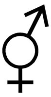 HERMAPHR.TIF