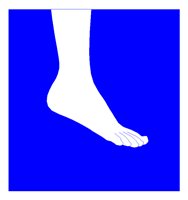 ANKLE.TIF