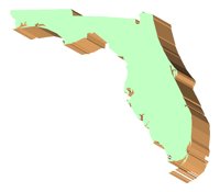FL3D.TIF