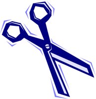 SCISSRS2.TIF