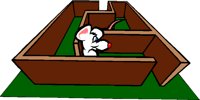 RATMAZE.TIF