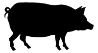 HOG.TIF