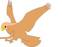 HAWK.TIF
