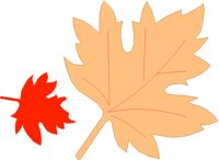 FALLSYM.TIF
