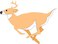 DEER.TIF