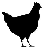 CHICKEN.TIF