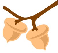 ACORNS.TIF