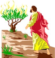 BURNBUSH.TIF