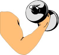 WEIGHTS2.TIF