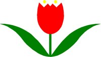 TULIP2.TIF