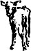 naab006j.wmf