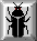 ICON13.GIF