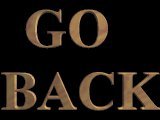 GOBACK06.JPG