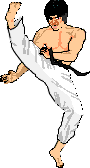 KARATE.GIF