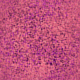 M0PAJKJG.GIF