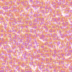 M0PAU4RM.GIF