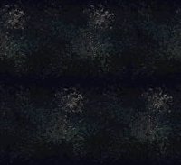M0PAIOGM.JPG