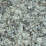 N042.JPG