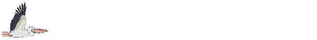 BIRD03.GIF