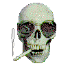 ZEVON.GIF