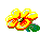FLOR01.GIF