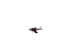 M0PANTLA.GIF