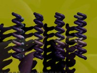 SPIRAL1.GIF
