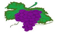 UVAS.GIF
