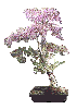 TREE9.GIF