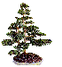 TREE8.GIF
