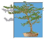 TREE1.GIF