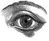 M0PAU69F.GIF