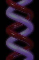 DNA.JPG
