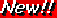 M0PAU49C.GIF
