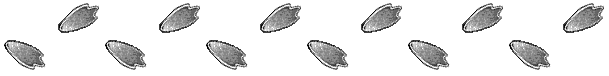 PATA02.GIF