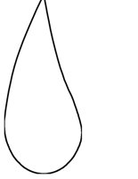 RAINDROP.CGM
