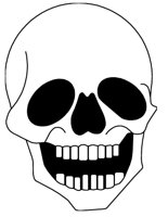 SKULL.CGM