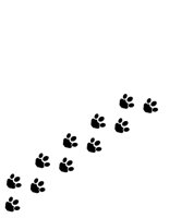 PAWPRINT.CGM