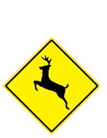 DEERXING.CGM