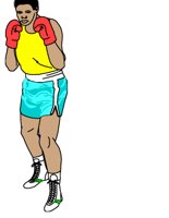 BOXER.CGM