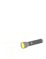 FLASHLIT.CGM