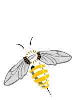 BEE.CGM