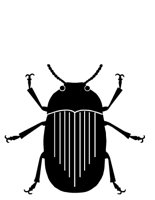 BEETLE.CGM