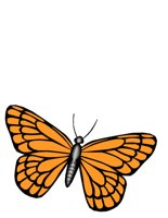 BUTERFLY.CGM