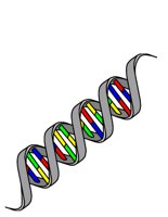 DNAHELIX.CGM