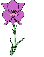 FLOWER3.CGM