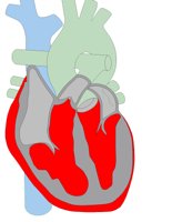 HEART2.CGM