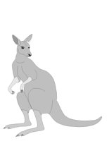 KANGAROO.CGM