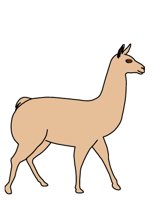 LLAMA.CGM